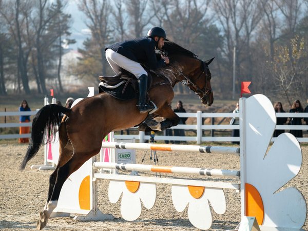 Les sports les mieux payés : découvrez les top gagnants